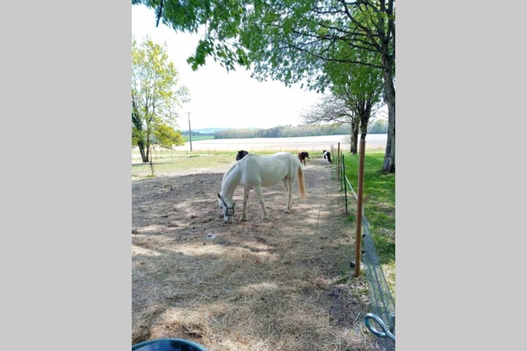 As Seen On A New Life In The Sun - Beautiful 3 Bedroom Cottage With Shared Pool Montboyer Extérieur photo