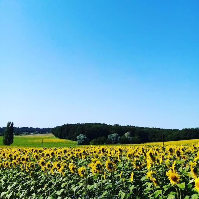 As Seen On A New Life In The Sun - Beautiful 3 Bedroom Cottage With Shared Pool Montboyer Extérieur photo